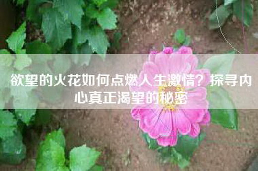 欲望的火花如何点燃人生激情？探寻内心真正渴望的秘密