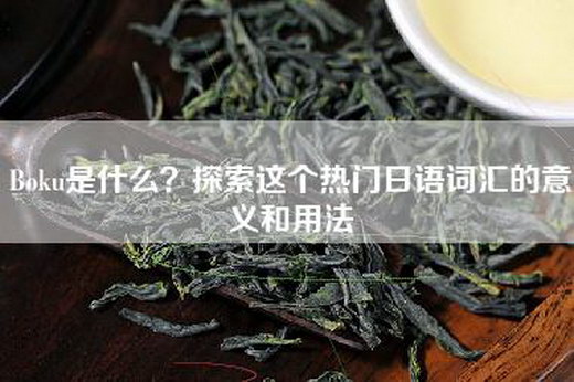 Boku是什么？探索这个热门日语词汇的意义和用法