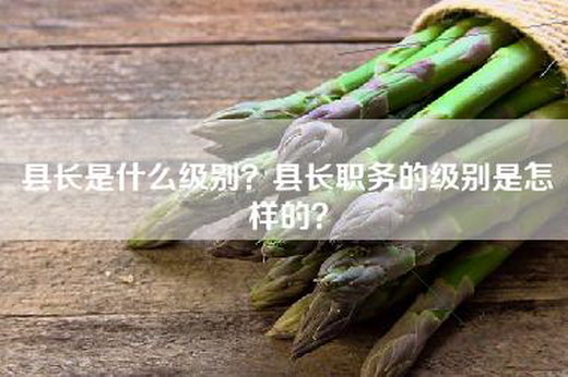 县长是什么级别？县长职务的级别是怎样的？