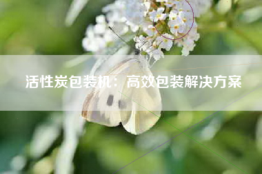 活性炭包装机：高效包装解决方案