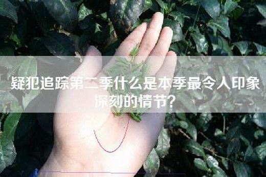 疑犯追踪第二季什么是本季最令人印象深刻的情节？