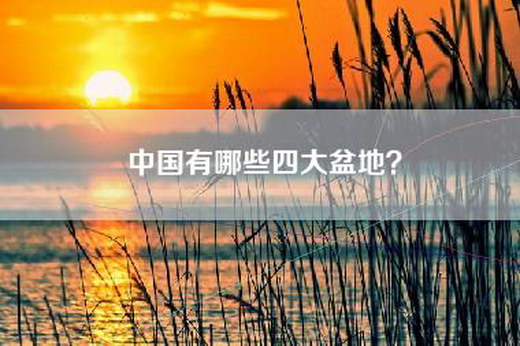 中国有哪些四大盆地？