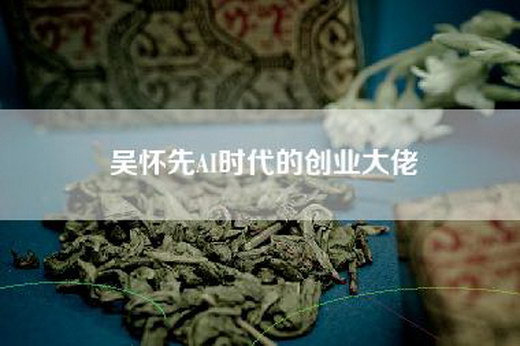 吴怀先AI时代的创业大佬