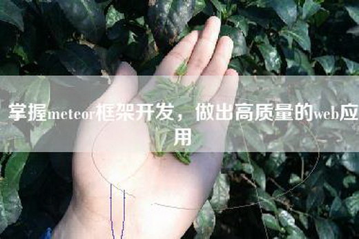 掌握meteor框架开发，做出高质量的web应用