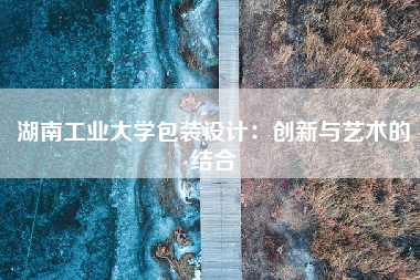 湖南工业大学包装设计：创新与艺术的结合