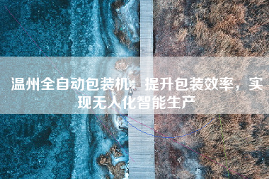 温州全自动包装机：提升包装效率，实现无人化智能生产