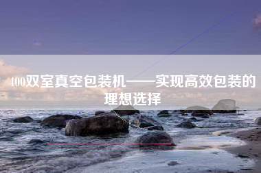 400双室真空包装机——实现高效包装的理想选择