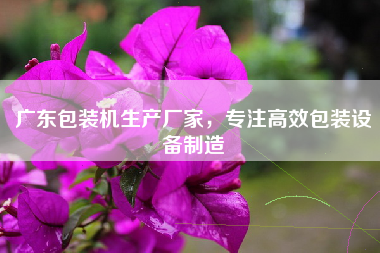 广东包装机生产厂家，专注高效包装设备制造