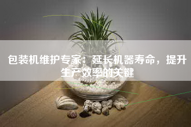 包装机维护专家：延长机器寿命，提升生产效率的关键