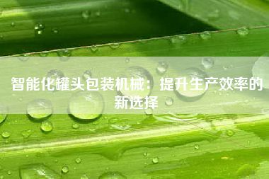 智能化罐头包装机械：提升生产效率的新选择