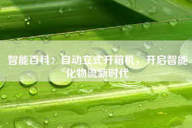 智能百科：自动立式开箱机，开启智能化物流新时代