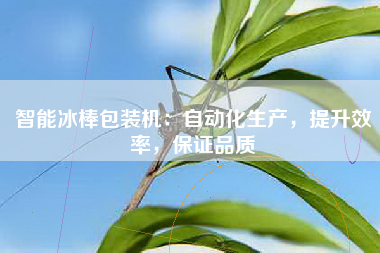 智能冰棒包装机：自动化生产，提升效率，保证品质