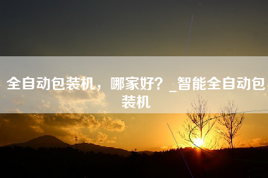 全自动包装机，哪家好？_智能全自动包装机