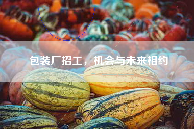 包装厂招工，机会与未来相约