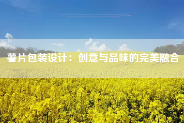 薯片包装设计：创意与品味的完美融合