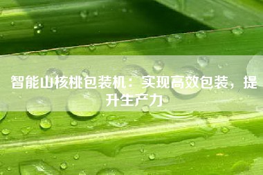 智能山核桃包装机：实现高效包装，提升生产力