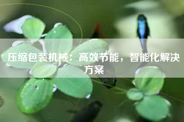 压缩包装机械：高效节能，智能化解决方案