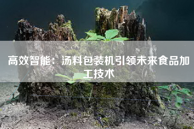 高效智能：汤料包装机引领未来食品加工技术