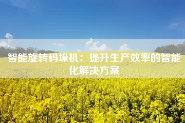 智能旋转码垛机：提升生产效率的智能化解决方案