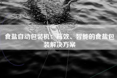 食盐自动包装机：高效、智能的食盐包装解决方案