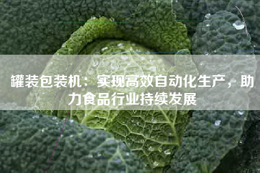 罐装包装机：实现高效自动化生产，助力食品行业持续发展