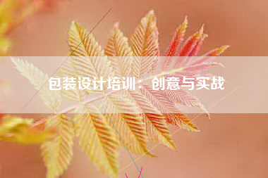 包装设计培训：创意与实战