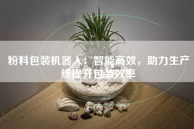 粉料包装机器人：智能高效，助力生产线提升包装效率