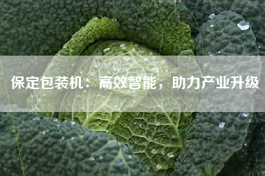 保定包装机：高效智能，助力产业升级