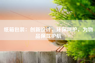 纸箱包装：创新设计，环保呵护，为物品保驾护航