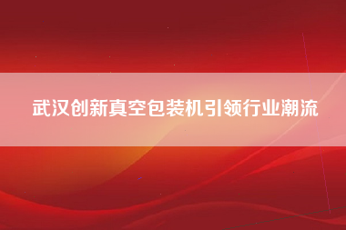 武汉创新真空包装机引领行业潮流