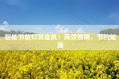 智能节能灯装盒机：高效照明，节约能源