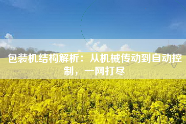 包装机结构解析：从机械传动到自动控制，一网打尽