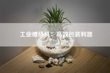 工业缠绕机：高效包装利器