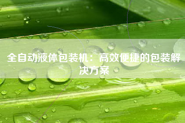 全自动液体包装机：高效便捷的包装解决方案