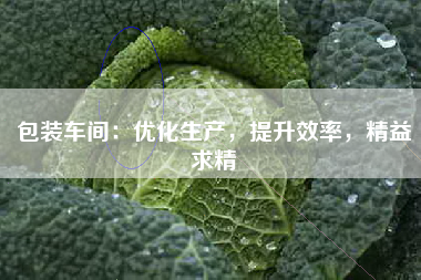 包装车间：优化生产，提升效率，精益求精