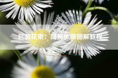 包装花束：简易步骤图解教程