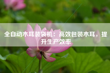 全自动木耳装袋机：高效包装木耳，提升生产效率