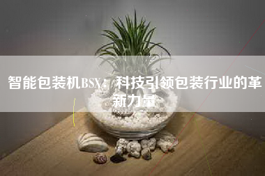 智能包装机BSX：科技引领包装行业的革新力量