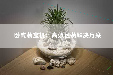 卧式装盒机：高效包装解决方案