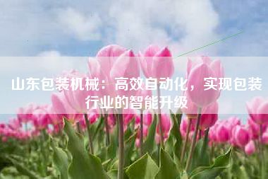 山东包装机械：高效自动化，实现包装行业的智能升级