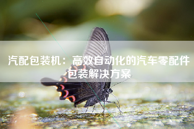 汽配包装机：高效自动化的汽车零配件包装解决方案