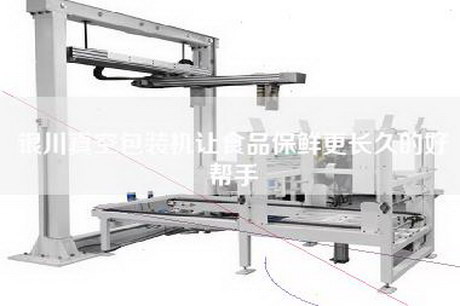 银川真空包装机让食品保鲜更长久的好帮手