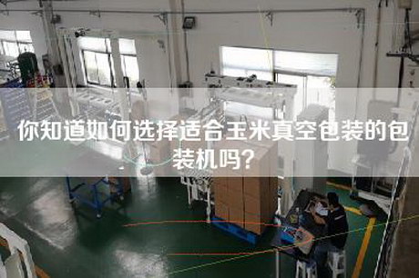 你知道如何选择适合玉米真空包装的包装机吗？