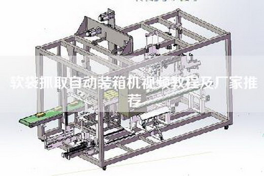 软袋抓取自动装箱机视频教程及厂家推荐